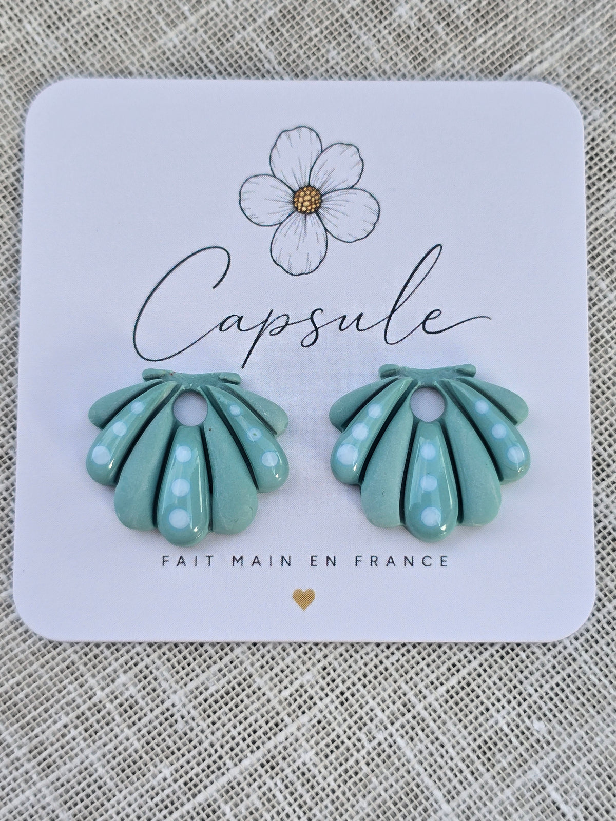 Pampilles coquillage
